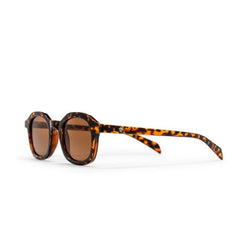 ANKI TURTLE BROWN
