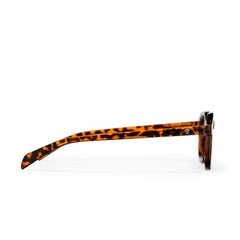 ANKI TURTLE BROWN