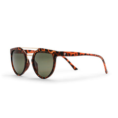 COPENHAGEN TURTLE BROWN