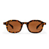 ANKI TURTLE BROWN