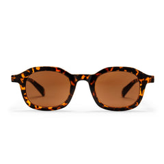 ANKI TURTLE BROWN