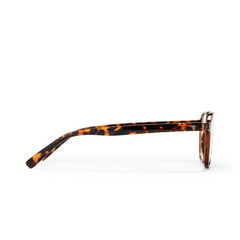 UPPSALA LEOPARD