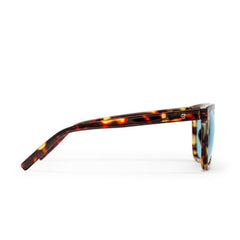 BRUCE TORTOISE WITH LIGHT BLUE LENS